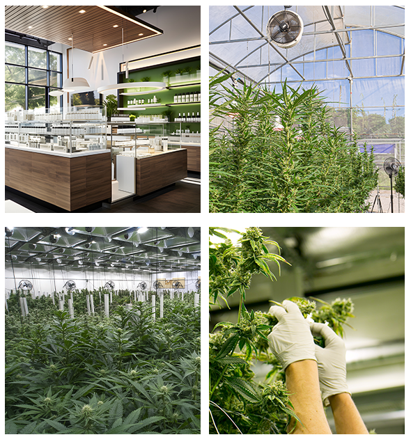 Cannabis security in Visalia, CA by Security First Alarm King